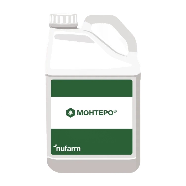 Монтеро