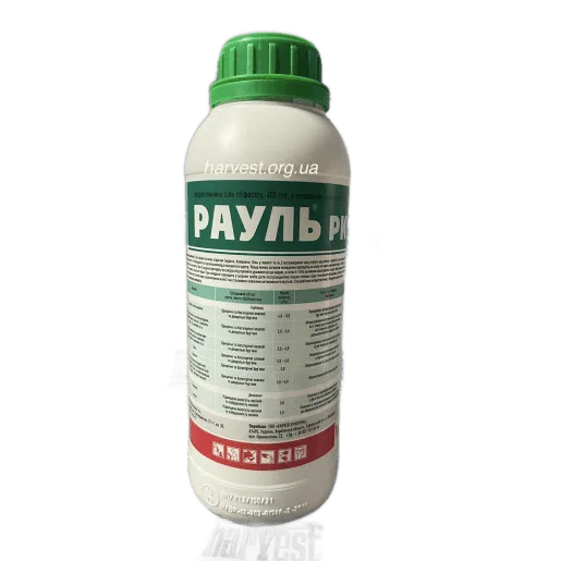 Рауль, РК