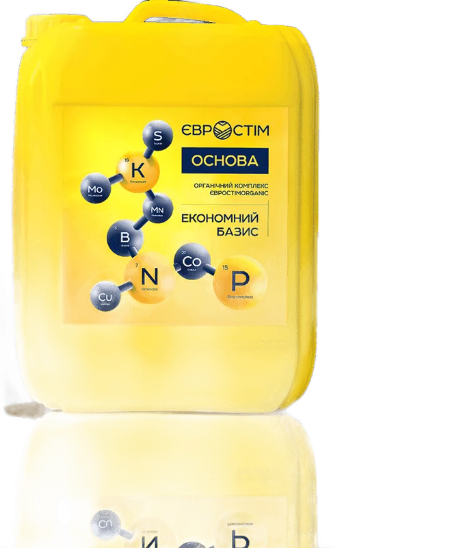Євростім Основа